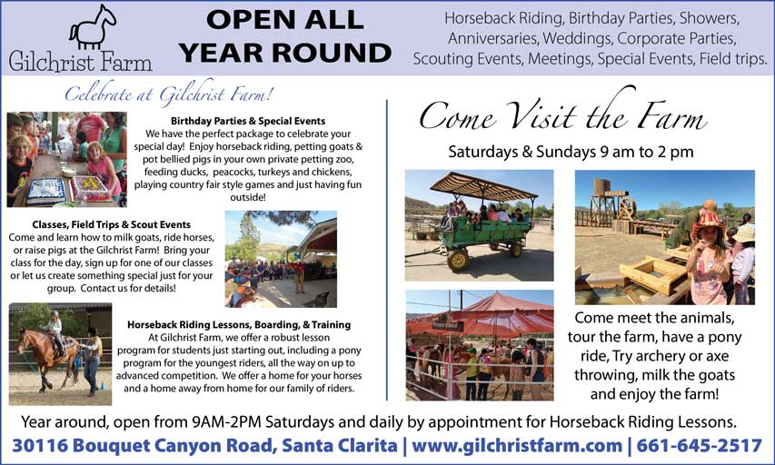 Celebrating with Joy Exploring Our Vibrant Party Packages – Gilchrist Farm