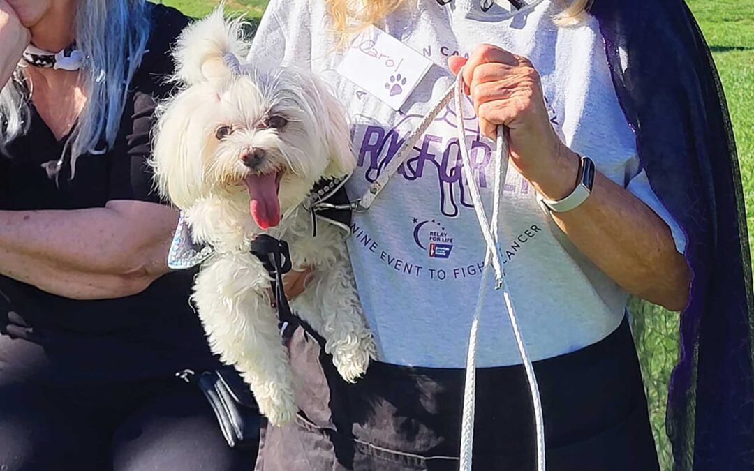 American Cancer Society BARK FOR LIFE Halloween Fundraiser