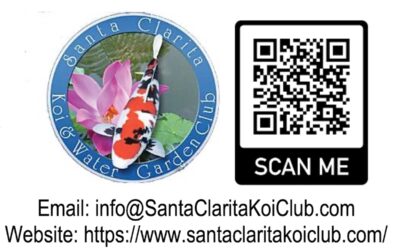 Predator Pond Birds – Santa Clarita Koi And Water Garden Club
