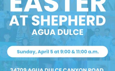 Shepherd Church Agua Dulce